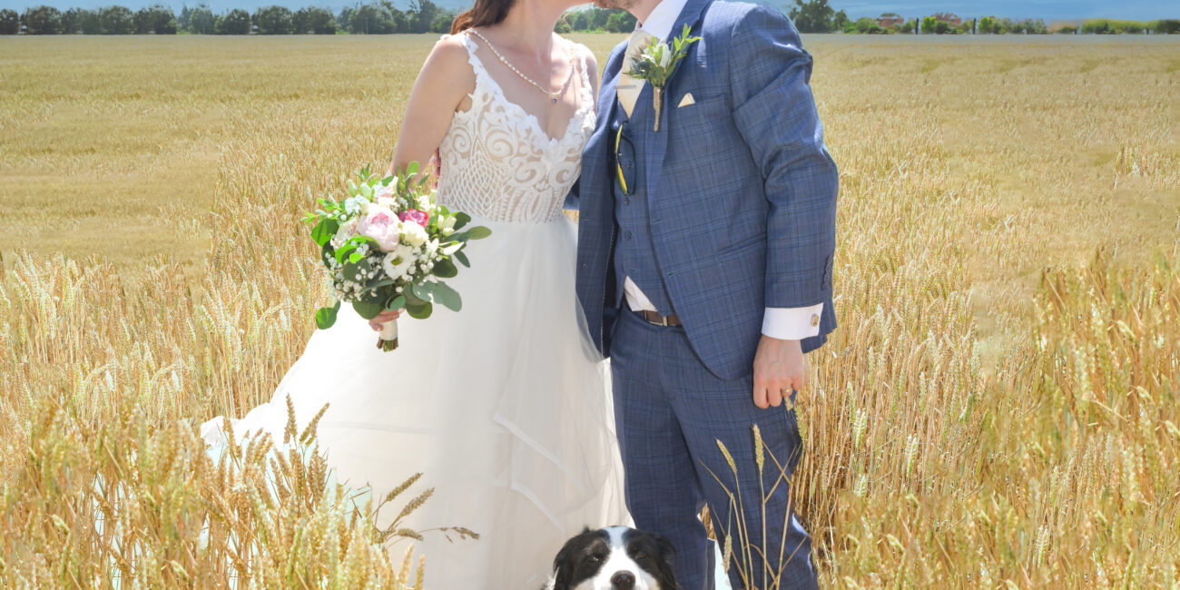 Wedding Photography with Dogs