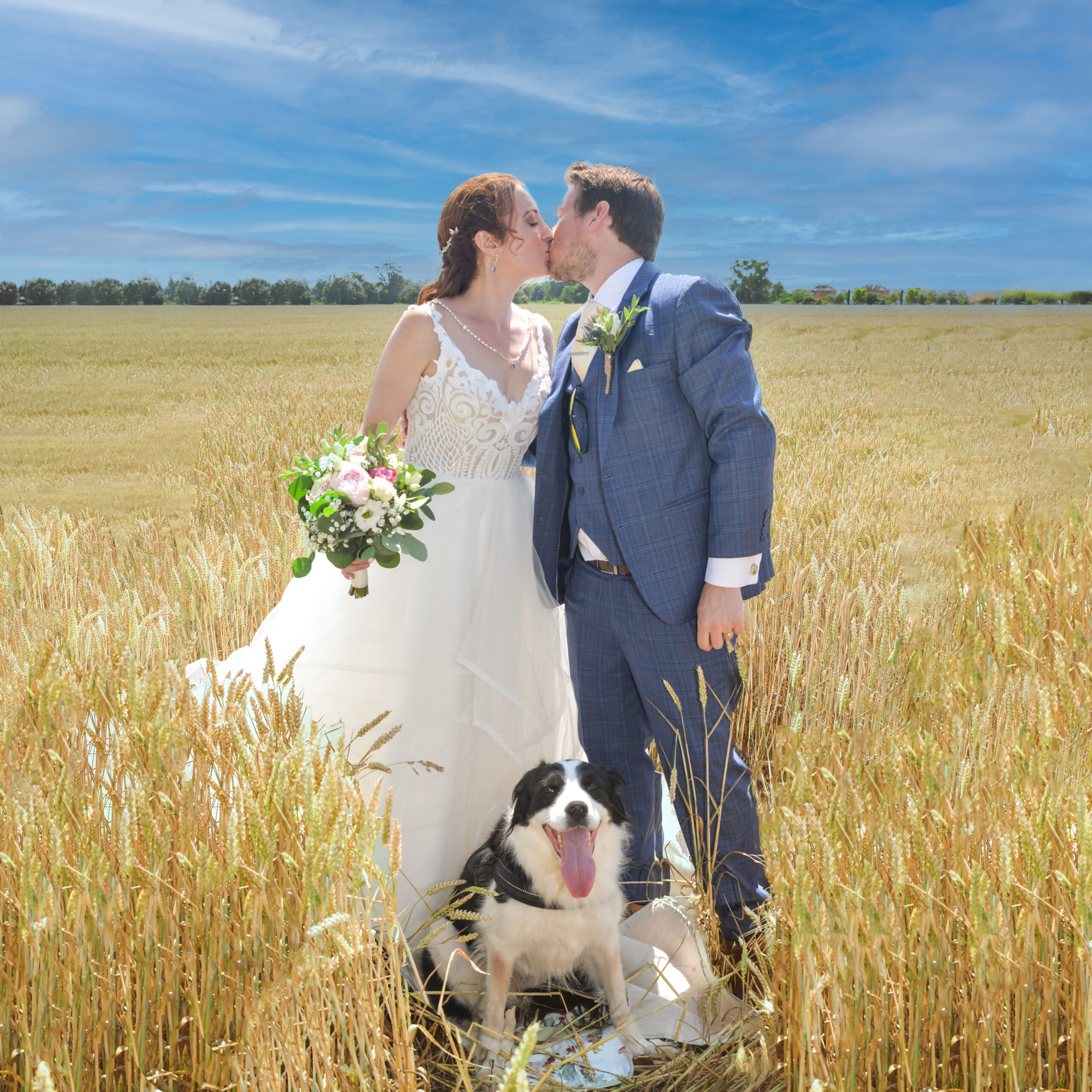 Wedding Photography with Dogs